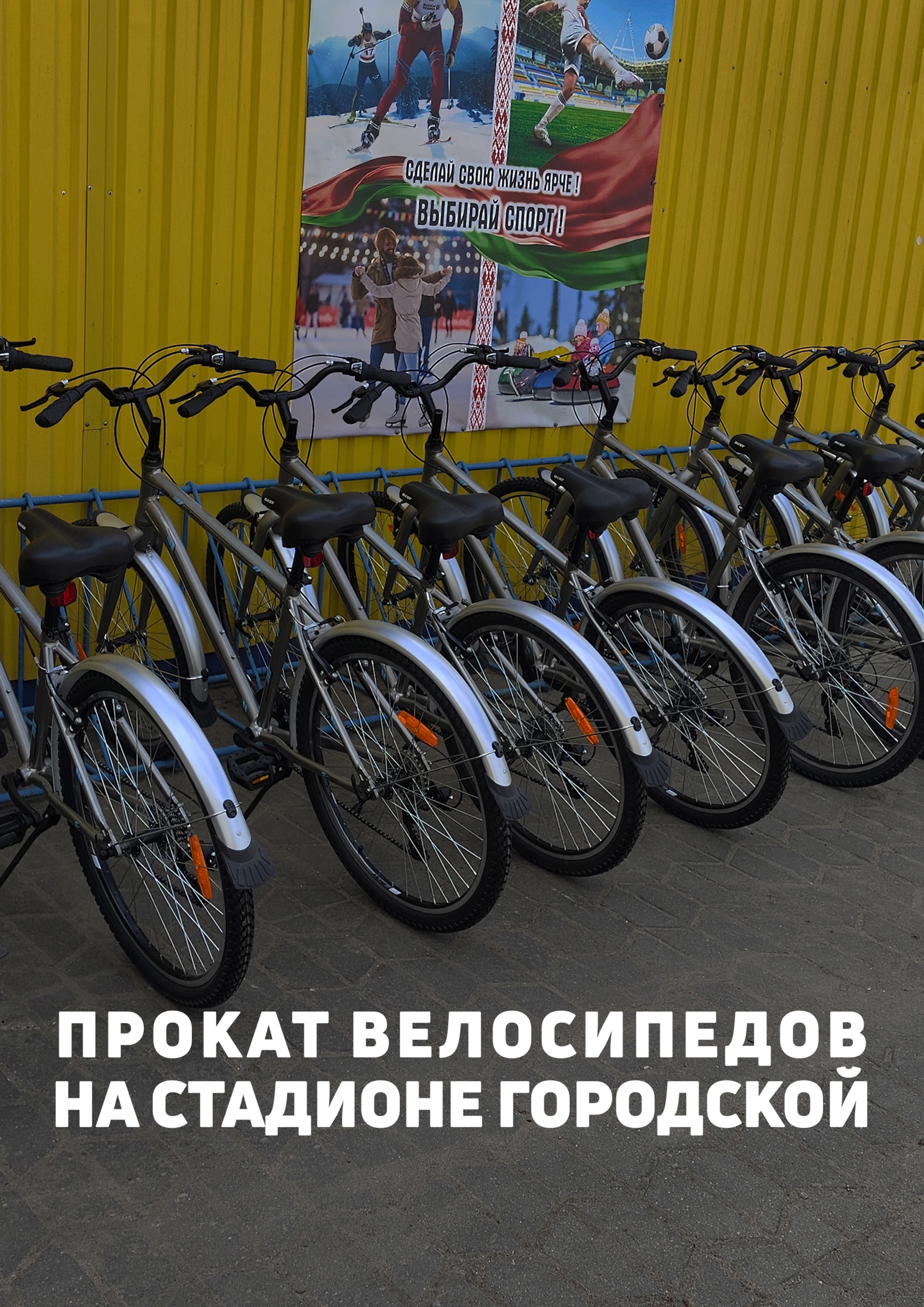 Прокат велосипедов на стадионе Городской