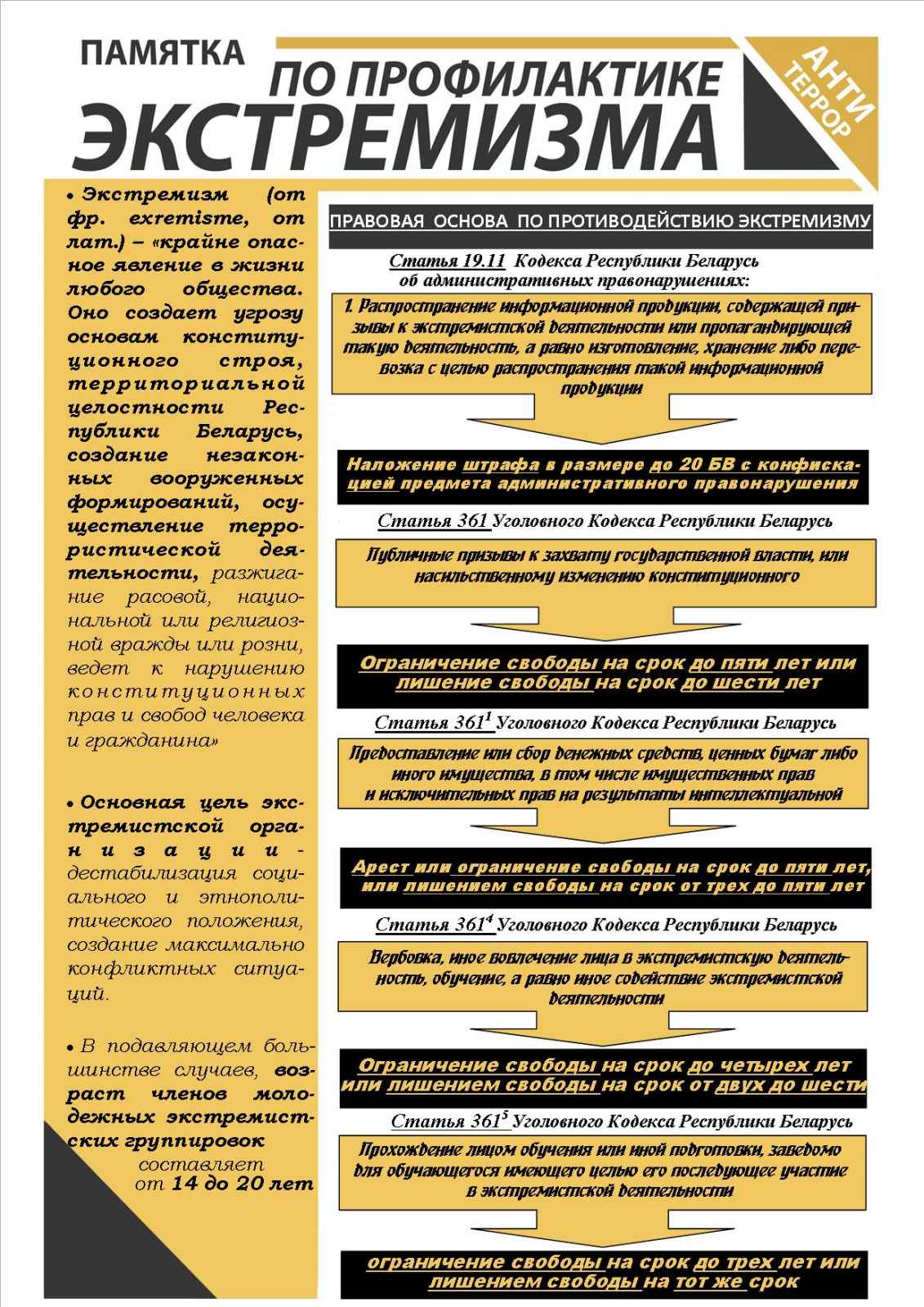 Профилактика экстремизма. Об ответственности за распространение информации экстремистского содержания.