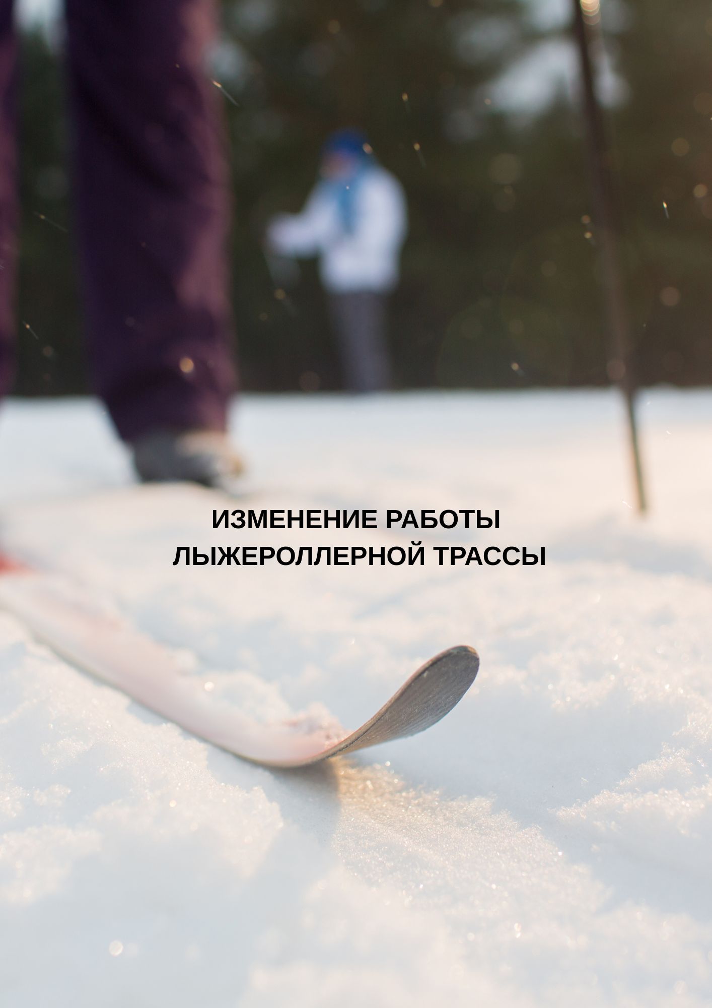 Лыжероллерная трасса 28.02.2026 будет работать с 14.00 в связи с проведением спортивно-массового мероприятия
